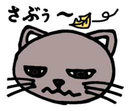 Gray cat that has been graffiti in note sticker #1986912