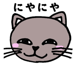 Gray cat that has been graffiti in note sticker #1986914