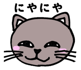 Gray cat that has been graffiti in note sticker #1986914