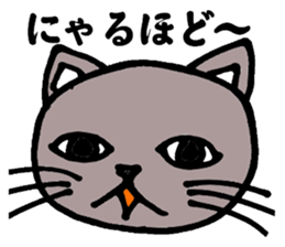 Gray cat that has been graffiti in note sticker #1986919