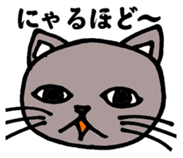 Gray cat that has been graffiti in note sticker #1986919