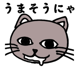 Gray cat that has been graffiti in note sticker #1986920