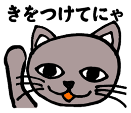 Gray cat that has been graffiti in note sticker #1986923