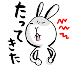 tokushima rabbit sticker #1990087