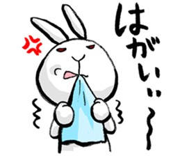 tokushima rabbit sticker #1990101