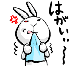 tokushima rabbit sticker #1990101