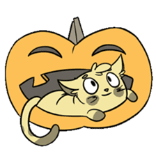 Sammy The Confused Cat sticker #1993159