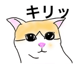 Cometa cat. sticker #1993175