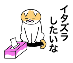 Cometa cat. sticker #1993181