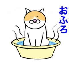 Cometa cat. sticker #1993186