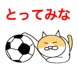 Cometa cat. sticker #1993195