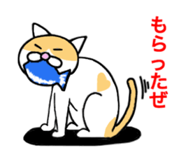 Cometa cat. sticker #1993198