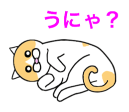 Cometa cat. sticker #1993203