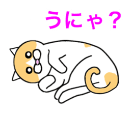 Cometa cat. sticker #1993203