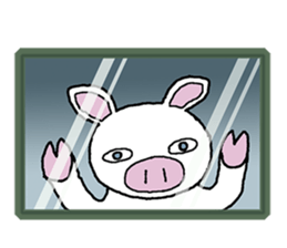 Message of piglets 2 sticker #1993382