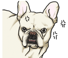 French Bulldog "BULLO" 2 sticker #1994494