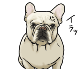 French Bulldog "BULLO" 2 sticker #1994495