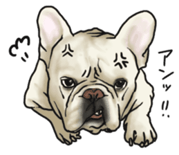 French Bulldog "BULLO" 2 sticker #1994496