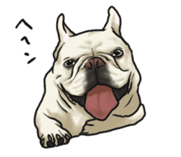 French Bulldog "BULLO" 2 sticker #1994497
