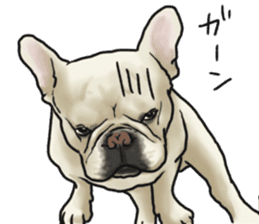 French Bulldog "BULLO" 2 sticker #1994499