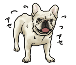 French Bulldog "BULLO" 2 sticker #1994515