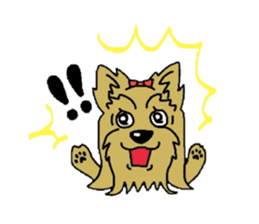 Yorkie every day sticker #1997166