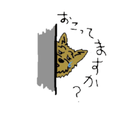 Yorkie every day sticker #1997170