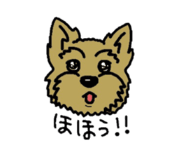 Yorkie every day sticker #1997172