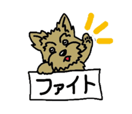 Yorkie every day sticker #1997173