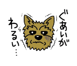 Yorkie every day sticker #1997176