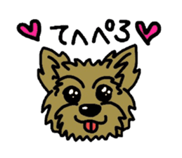 Yorkie every day sticker #1997179