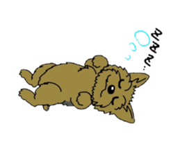 Yorkie every day sticker #1997180