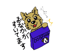 Yorkie every day sticker #1997181