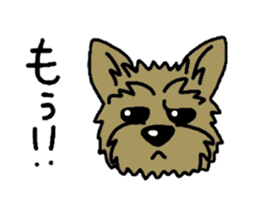 Yorkie every day sticker #1997182