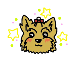 Yorkie every day sticker #1997184