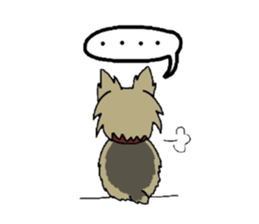 Yorkie every day sticker #1997186