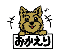 Yorkie every day sticker #1997187