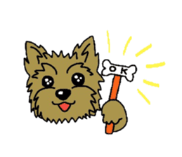 Yorkie every day sticker #1997191