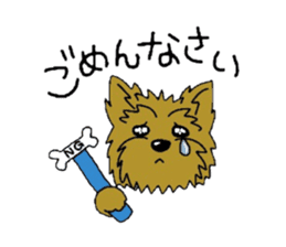 Yorkie every day sticker #1997192