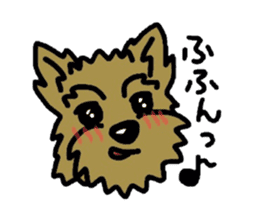 Yorkie every day sticker #1997194