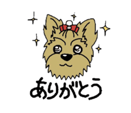 Yorkie every day sticker #1997195