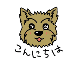 Yorkie every day sticker #1997196