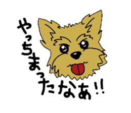Yorkie every day sticker #1997197