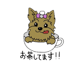 Yorkie every day sticker #1997199