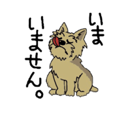 Yorkie every day sticker #1997200