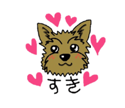 Yorkie every day sticker #1997201