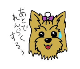 Yorkie every day sticker #1997203