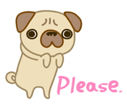 pug dog-English version sticker #1997327