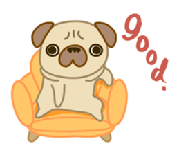 pug dog-English version sticker #1997334