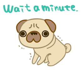 pug dog-English version sticker #1997336